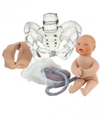 Childbirth Graphics Set: baarmoeder, baby en bekken | 4-delig