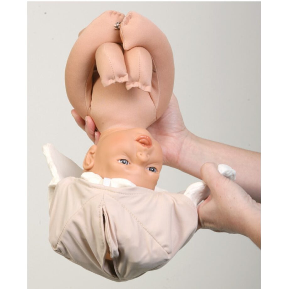 Childbirth Graphics Set: baarmoeder, baby en bekken | 4-delig