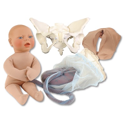 Childbirth Graphics Deluxe set – beige foetus