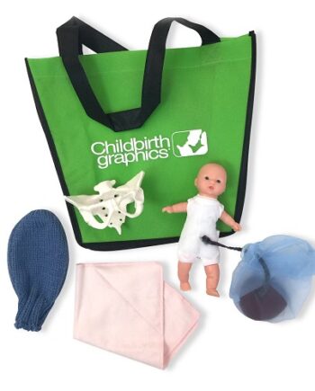 Childbirth Graphics-Standaard Mini Modellen Set